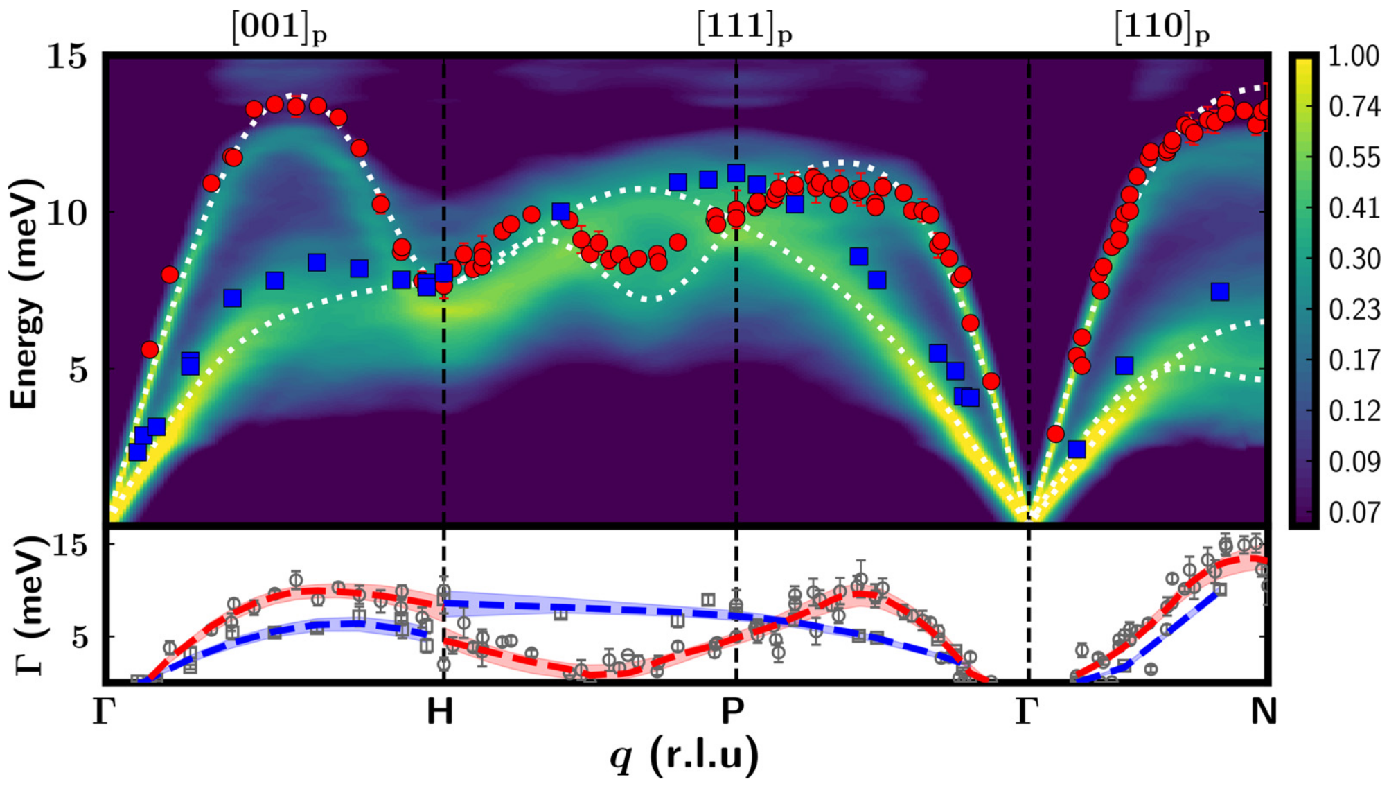 Energie des phonons (en haut) et dispersions de largeur de raie (en bas) dans la zone de Brillouin pour un alliage uranium-molybdène. Les calculs théoriques (ligne pointillée (approximation du cristal virtuel) et carte couleur (fonction spectrale complète)) sont comparés aux données expérimentales (voir Chaney et al.)