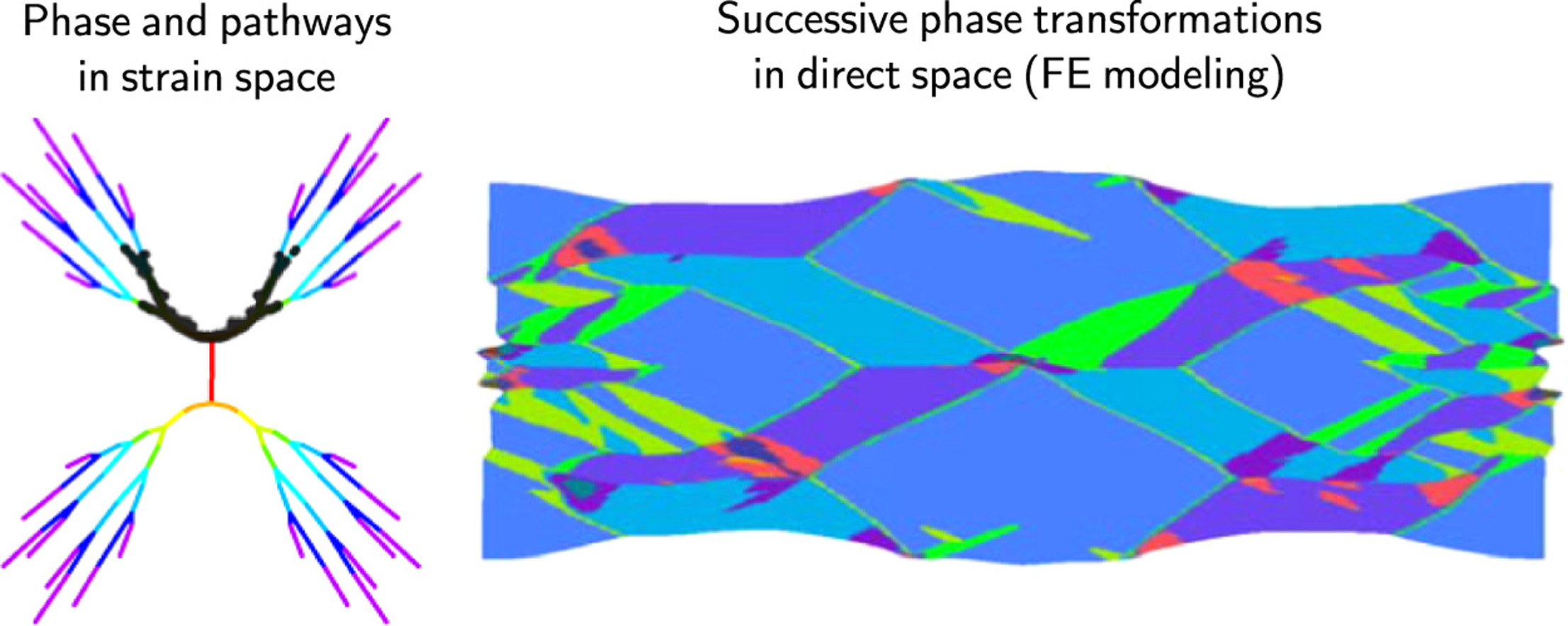 Simulation de la formation successive de variants de transformation avec le code ExaCoddex, tiré de [1]