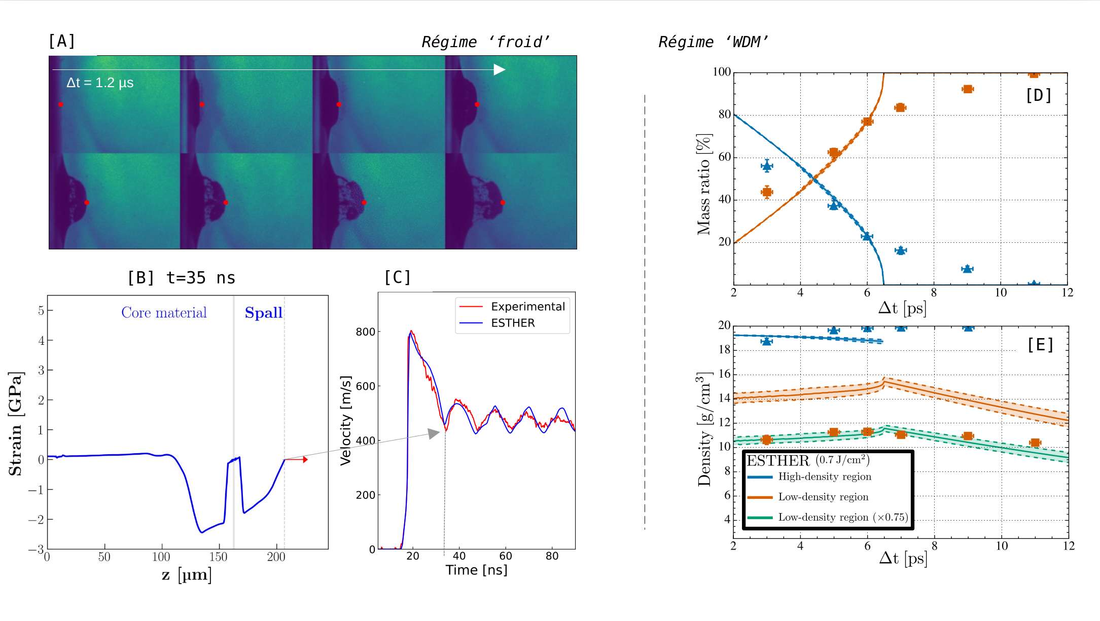 Gauche: illustration de l&rsquo;utilisation d&rsquo;ESTHER dans le régime &lsquo;froid&rsquo;. [A] Images consécutives de l&rsquo;écaillage d&rsquo;un échantillon d&rsquo;aluminium suite à un choc laser. [B] Profil spatial de contrainte dans l&rsquo;échantillon d&rsquo;aluminium, simulé avec ESTHER, à l&rsquo;instant où, par contrainte de traction, le matériau se rompt et une écaille est formée. [C] Profil de vitesse de face arrière expérimental (rouge) et simulé (bleu) de l&rsquo;échantillon d&rsquo;aluminium. Une flèche indique le temps pour lequel l&rsquo;écaille est créée. Droite: illustration de l&rsquo;utilisation d&rsquo;ESTHER dans le régime &lsquo;WDM&rsquo;: étude de la réponse de l&rsquo;or et de ses phases solides fcc et bcc suite à l&rsquo;irradiation par rayonnement X au LCLS (Linac Coherent Light Source), et comparaison avec ESTHER (traits pleins) [D] fraction massique des deux phases [E] et densité massique totale en fonction du temps.