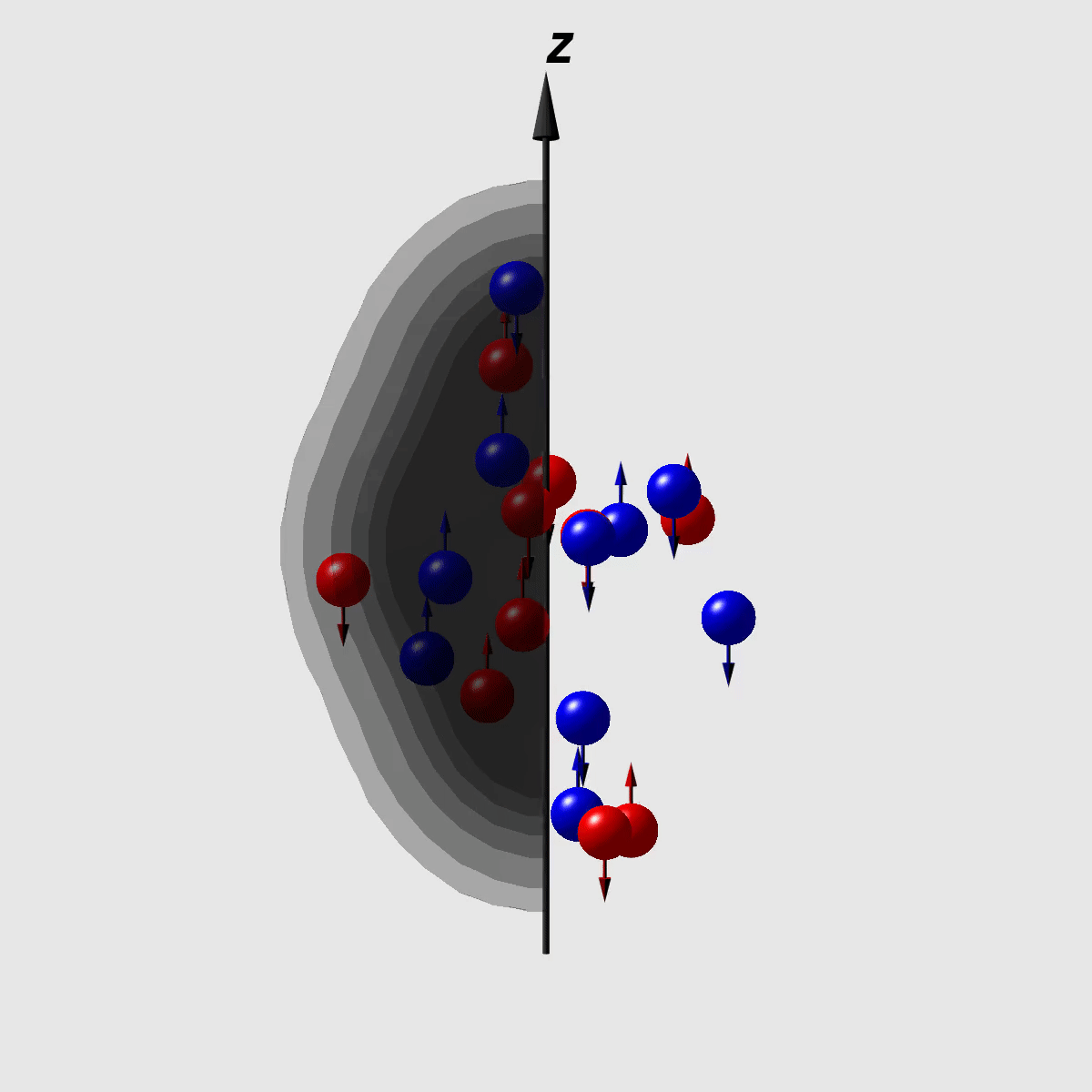 NucleoScope